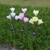 LED Magnolia Flower Stake Light Solar Energy Rechargeable for Outdoor Garden